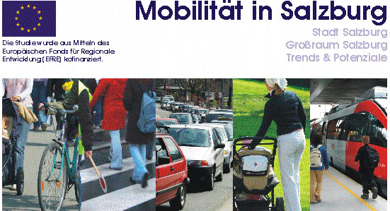 Verkehrsverhaltensbefragung Salzburg 2004
